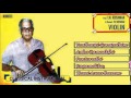 Carnatic instrumental  violin  tn krishnan  vijikrishnan 