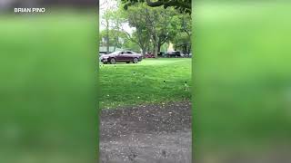 Caught on video: Car tears up Jackson Park golf course Jackson Park Chicago Golf