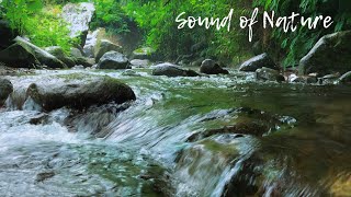 Majestic Sounds to Calm Your mind, babbling brook, Sound of Nature