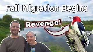 Fall Migration Begins - And An Unexpected Lifer!
