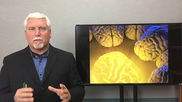 Better Brain Healing, Dr. Robert Graykowski, Better Brain Blueprint