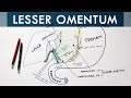 Lesser Omentum - Attachment, Ligaments & Contents | Anatomy Tutorial