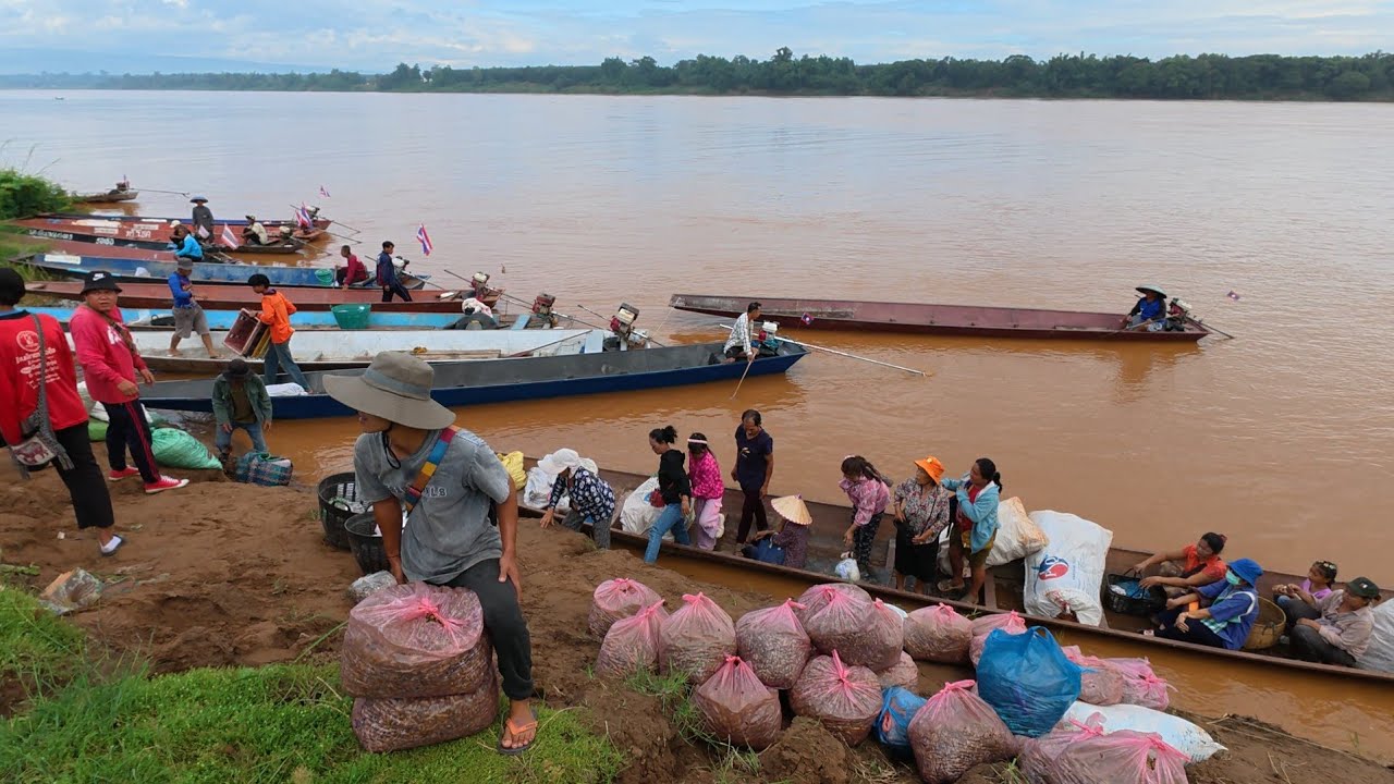 ตลาดนัดไทย-ลาว เปงจาน อ.รัตนวาปี จ.หนองคาย #อาหารป่า #สปปลาว #food