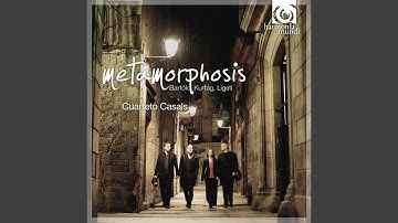 String Quartet No. 4, Sz. 91: II. Prestissimo, con sordino