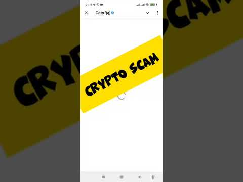 CRYPTO SCAMS Cats Video Code | CRYPTO SCAMS cats video code today 21 december #shorts #cats
