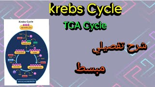 Krebs Cycle (Tricarboxylic Acid Cycle TCA)#biochemistry #metabolism شرح تفصيلي مبسط