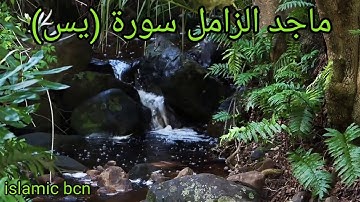 ماجد الزامل سورة (يس) / Majed Al-Zamil  sourat yassin