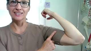 Agonist, Antagonist, and Synergist