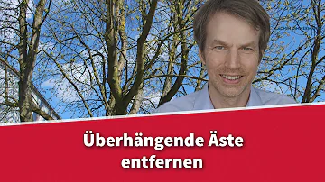 Wie hoch darf mein Nachbar seine Bäume wachsen lassen NRW?