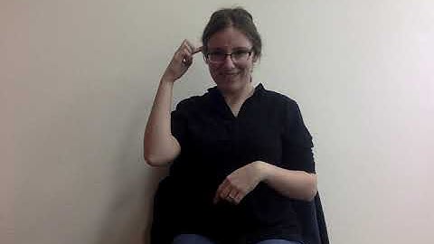 ASL 610 D Mirroring Project #1: If Only I Could Fly