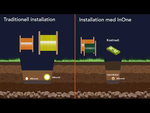 Video: Fiber Og Grønnsaker Med Høy Fiber: TOP-200 +