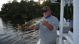 Snook and Grouper fishing inside Tampa Bay