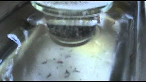 Ultrasonic degassing