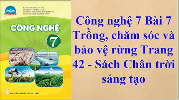 Công nghệ 7 Bài 7 Trồng, chăm sóc và bảo vệ rừng Trang 42 - Sách Chân trời sáng tạo