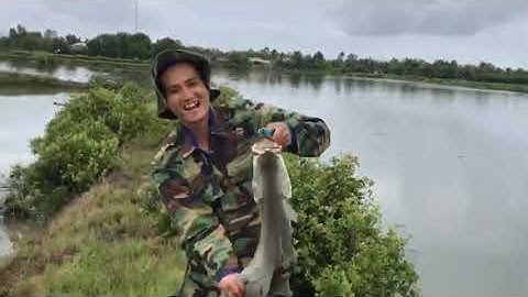 CÂU CÁ CHẼM NGÀY MƯA || DÂN CÂU ĐỒ LÍNH || CÁ VƯỢT CÀ MAU