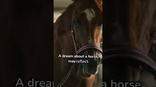 🐎 What Does Dreaming About a Horse Mean? 🌙