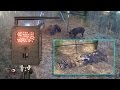 Wild Hog Trapping | (24) Landowner Interference (11 of 11 Capture) |  JAGER PRO™
