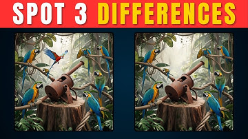 Spot 3 Differences Challenge 🔍 | Can You Find Them All?