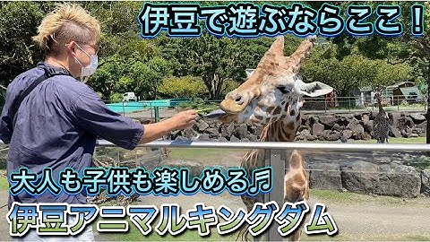 伊豆子供 Youtube