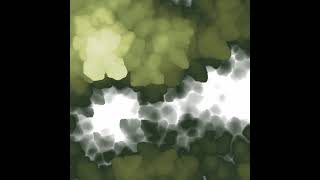TouchDesigner Bleed Test