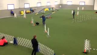 Flash - Eastern Spring Cup 2015 - Master Series Agility 2
