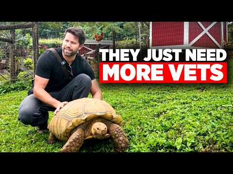 Inside Maui's Animal Rescue Community