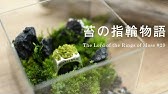 天空の城ラピュタの苔テラリウム 作り方 Make A Moss Terrarium For Castle In The Sky 45 Youtube