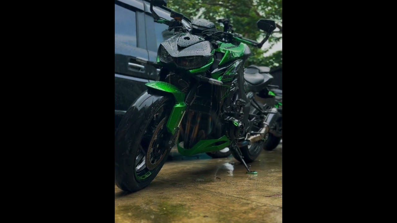 Fierce, Raw, Z spirits unleased 