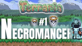 Terrari̇a Necromancer Mod Bölüm 1