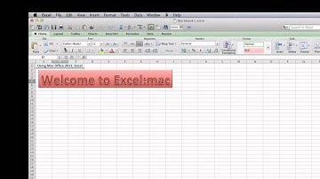 Mi5: About Excel: Mac 2011
