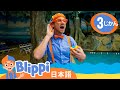 きょうりゅうにそうぐう！ | ブリッピ 日本語 - 幼児向け教育動画 Blippi