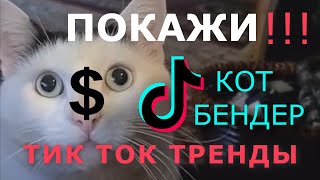 Кот Бендер. Тик ток тренды. Кот мяукает и кивает головой