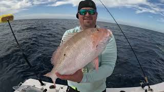 Fishing a LIVE! Threadfin in 100' DEEP When Something Crazy Happened! screenshot 5