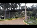 Surco: Pequeño Bosque dentro de la ciudad, Loma Amarilla 😃....