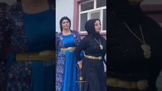Hakkari Düğünleri Govenda Mır Xıdır Kurdish Wedding Resimi