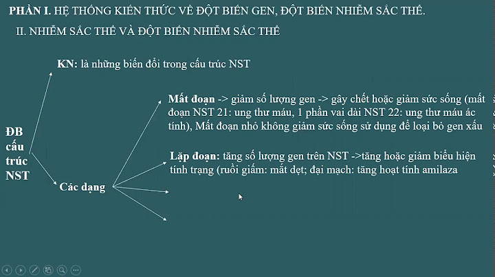 Đột biến có các dạng nào sau đây năm 2024