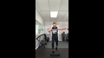 The Integrative Movement System™ Approach to Posture and Movement