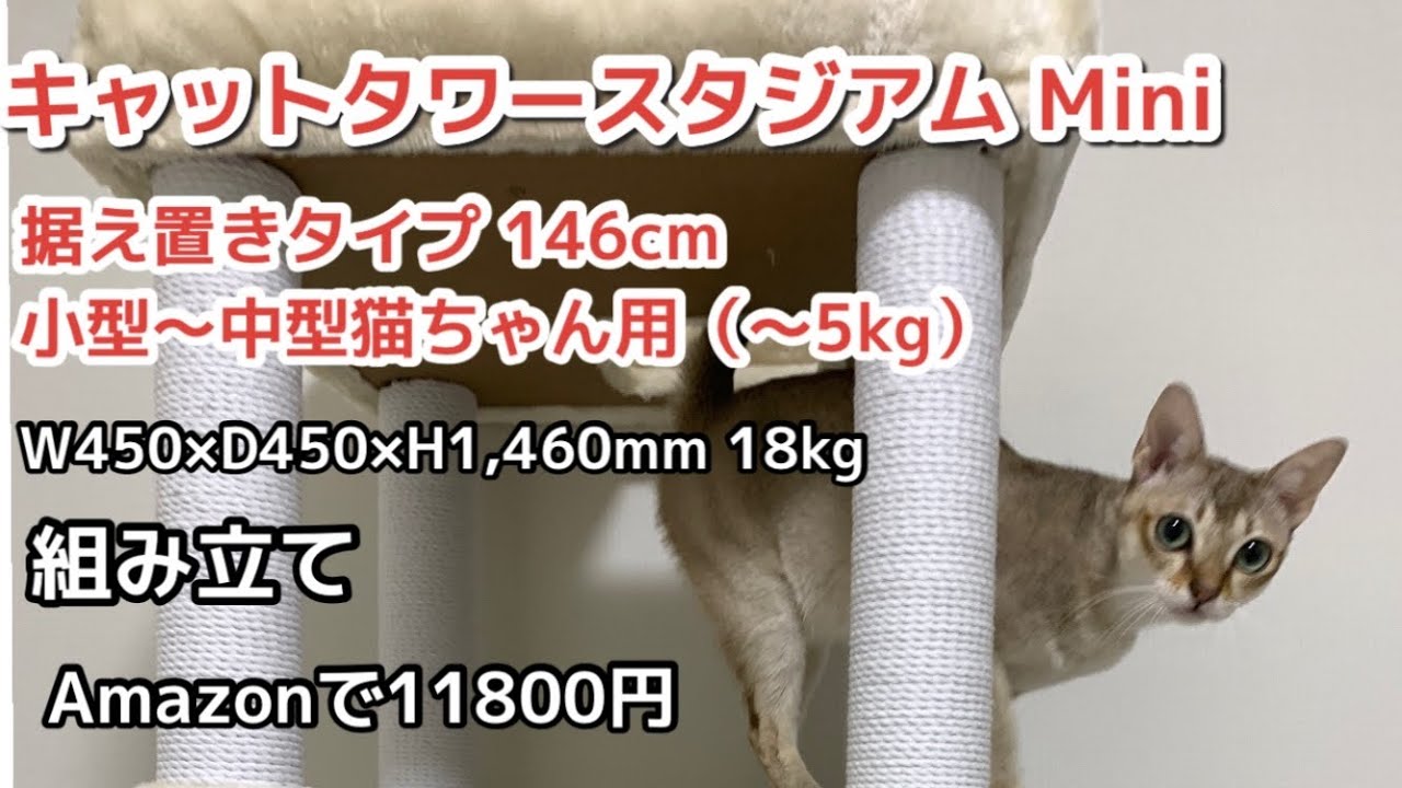 キャットタワー スタジアム Mini 組み立て - YouTube