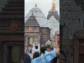 #jaijagannath #odishapuri #mahaprabhu #shorts #viral