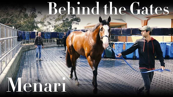 Behind the Gates: Menari & Gerald Ryan