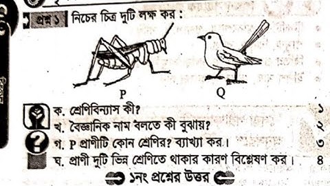 অষ্টম শ্রেণি - বিজ্ঞান - অধ্যায় ১ সৃজনশীল প্রশ্ন গাইড - Class 8 biggan Lecture Guide srijonshil qna