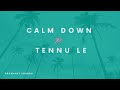 Calm down X Tennu le | Remix | Prashant Adarsh Mp3 Song