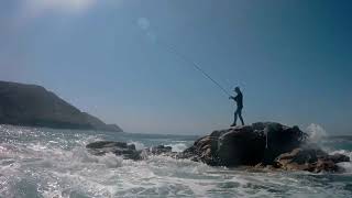 Sargos de verano en Galicia. Extreme saltwater fishing.