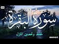 بركة لا تنقطع استمع لسورة البقرة يومي ا وراقب التغيير بنفسك بركة لا تنقطع استمع لسورة البقرة يومي ا وراقب التغيير بنفسك