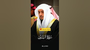 تلاوة جميلة لـ#سورة_التين | #الوليد_الشمسان