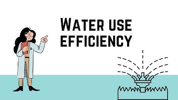 Water use efficiency (WUE)