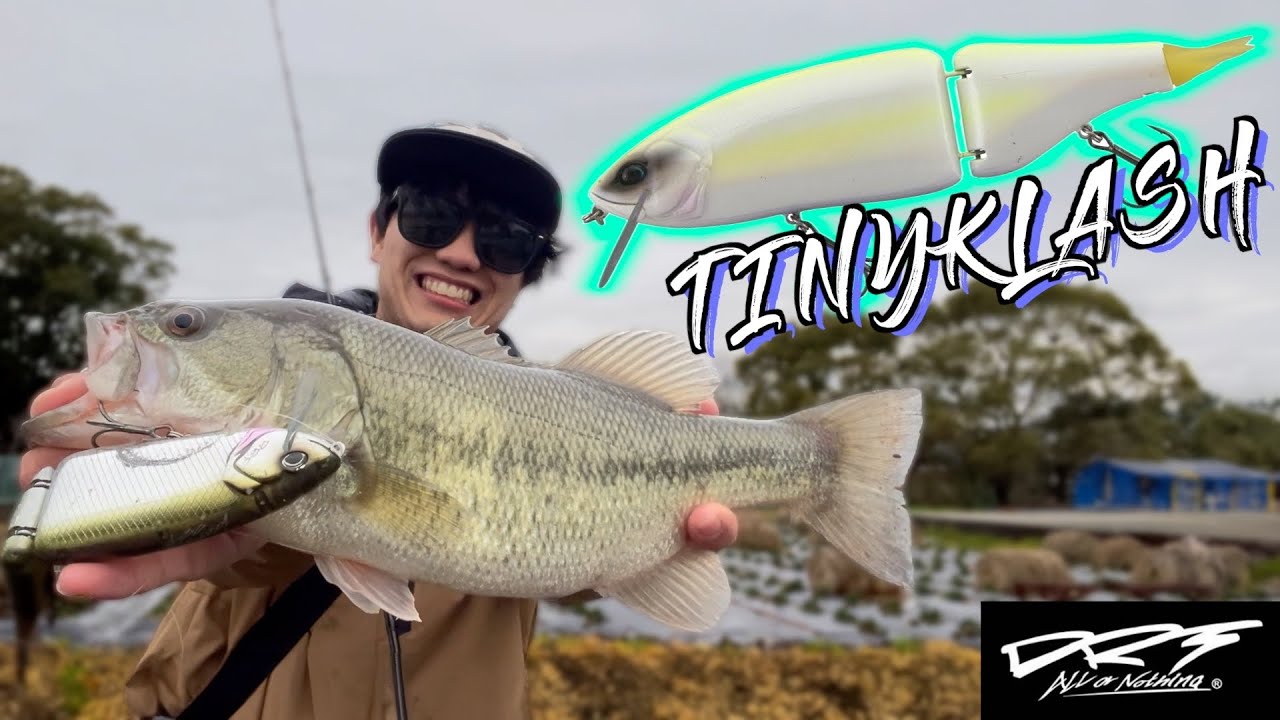 真冬のタイニークラッシュ縛りしたらヤバすぎたw【バス釣り】 - YouTube