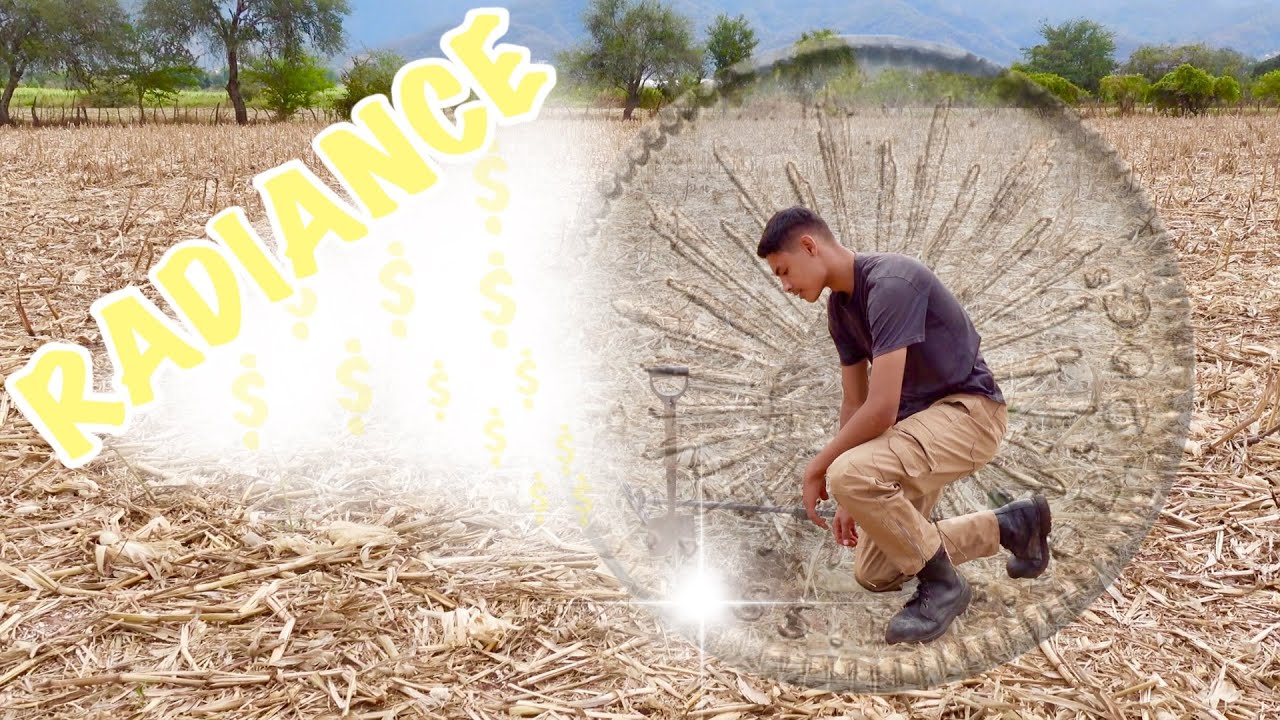 Серебряная звездочка в поле колониальной эпохи | Поиск металла @mwcooke8441