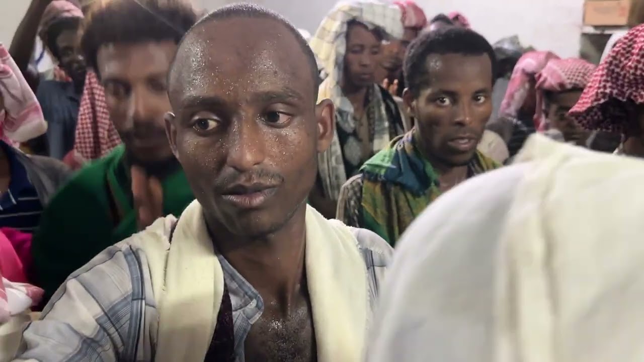  የበድሬ ሀሪማ ሀድራ፣ ተራ መንዙማ በሸህ ነጂብ!!!