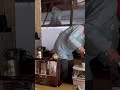 使用頻度が日に日に高まった86歳おばあちゃん。#Shorts